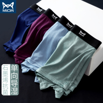 Cat Man Man Modal Boxer Panties Finishing Plus Size Thin Graphene Antibacterial Fat Man Four Corner Shorts Head