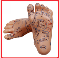 PVC material foot reflection area acupuncture model foot acupuncture point model foot model foot acupuncture point model