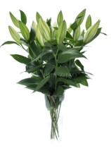 Lily flowers household flower arrangement City Courier Yunnan Kunming wedding wedding 10