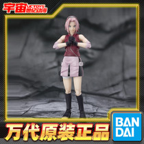 First reservation Bandai SHF Sakura Haruno Sakura Naruto Shipwork