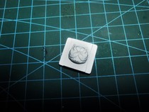 Ferry cat head customization for Fojian Canon Nikon Sony SLR camera hot boot protection dust cover