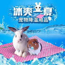 Pet cooling plate Hamster supplies Summer special rabbit Chinchilla Guinea pig cooling plate Ice box Ice house mat ice mat