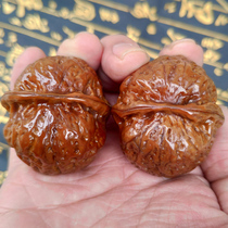 Wen play Yunnan iron walnut Jin Chan toad head Chaise pillow dinosaur egg Iron lion head hand play walnut handle piece