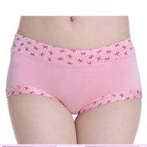 Lady Underwear Woman Mid-Waist Bamboo Fiber Triangle Shorts Head Modell Printed Big Ratio Cotton Pure Cotton Sexy