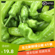 Pepper pepper Fresh pepper Northeast farm vegetables green green pepper thin skin oil pepper sheep horn pepper 4 pounds