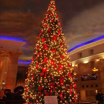 Large Christmas tree 3 2 7 3 5 4 6 5 m package luxury encrypted outdoor hotel Christmas decorations