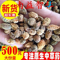Yizhiren Chinese herbal medicine new products listed Yizhiren 500g can be equipped with Sanbao tea Jinao Yuanzhi can be beaten