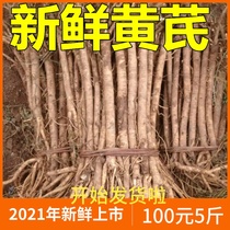 Gansu fresh Astragalus is Beiqi sulfur-free wet now digging Mianqi enzyme spot found large strips