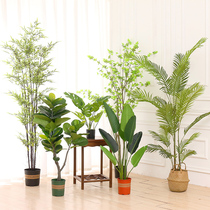 Large Nordic simulation plant landing traveler banana bird of paradise bonsai interior decoration fake potted green plant ornament tree