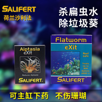 The Dutch Sally Method Salifert to eliminate flat worms water garbage sunflower scavenger Water family killing garbage sunflower water Salli method