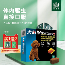 Insect heart protection dog insect within 11kg within Teddy small dogs with puppies playing pegs pet Fulai