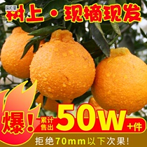 Sichuan is not known for its ugly oranges 10 kilos of ugliness and ugliness and the whole box of fresh fruit when it is a season of fresh fruit