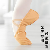 Camel Dance Shoes Womens Soft Sole Exercise Shoes Adult Art Examination Instep Childrens Ballet Shoes Skill Shoes Men