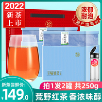 Golden Zizhou wilderness black tea 2022 new tea mountain tea Anhui Zhongzhong fragrance black tea canned total 250g