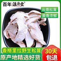 Dianjitang Fresh wild Matsutake 500g Export grade Shangri-La Matsutake mushroom Yunnan wild mushroom Agaricus Matsutake