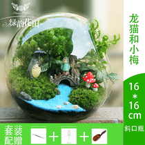 Moss micro landscape ecological bottle glass green plant potted mini diy creative birthday gift ornament Shenzhen t