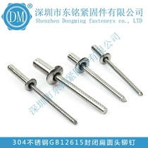 304 all stainless steel closed flat round head blind rivet decoration nail round head all steel pull rivet M4 8