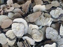 Maca dry slices Yunnan maca tea water dried fruit Lijiang black Maca wine wine maca card