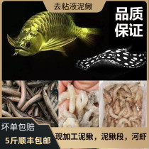 Loach frozen Loach section dragon fish feed Golden Dragon Silver Dragon special fish food frozen red worm prawn shrimp feed fish