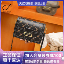 CMLZIUA French niche brand women bag 2021 new fashion embroidery small square bag texture foreign style shoulder bag