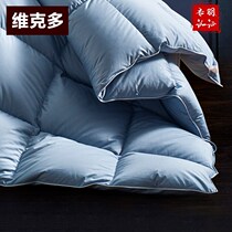 Goose down was 95 white goose down was thickened in spring and autumn.