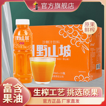 Lvliang Wild hillside Sea buckthorn juice drink Raw sea buckthorn juice juice liquid sweet and sour flavor 350ml bottle