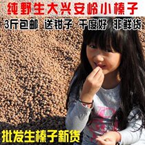 New northeast wild hazelnut raw hazelnut raw dried fruit nuts 500g 3kg to send pliers