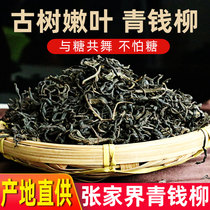 Qingqianliu tea wild Super ancient tree tender leaf tea no sugar clear money Willow blood Zhangjiajie three sugar high