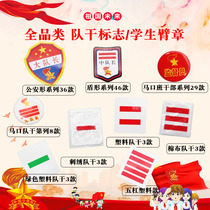 Squadron leader Two bars Small captain logo One bar Captain logo Three bars brigade committee logo set of pins