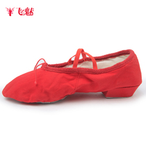 Body etiquette training shoes practice soft bottom adult teacher teacher shoes dancing cat claw belt heel canvas belly dance shoes