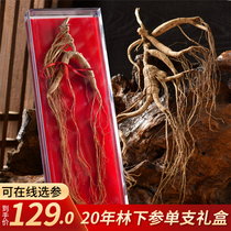 Ginseng Changbai Mountain Northeast Forest Ginseng 20 years Wild Mountain Ginseng bubble wine Mountain Ginseng gift box dry whole wild ginseng