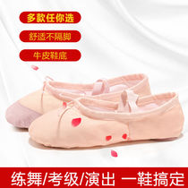 Dance shoes women soft sole children adult practice shoes student shape cats claw shoes ethnic dance boys and girls ballet shoes