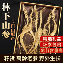 Ginseng Changbai Mountain Wild Mountain Ginseng Northeast Forest Ginseng 20 Years Dry Goods Whole Branches Liquor Medicines Mountain Ginseng Gift Boxes