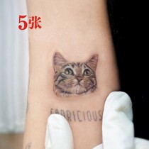 5 kitten tattoo stickers female waterproof long-lasting cute cartoon men and women couples ins Wind wrist calf tattoo