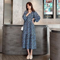 Pregnant Woman Spring Clothing Dress Dress 2022 Spring Autumn Style Fashion Tide Net Red Loose Spicy Mother Foreign Air Little Fresh and long dresses