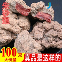 Cinnabar lotus authentic Guangxi wild Chinese herbal medicine Red medicine Cinnabar seven potatoes Liangxue Sanqi non-red and yellow medicine seeds 100g