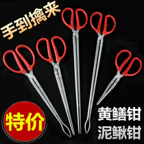 The clip of the laminated finless eel catches the clay loach thickened field seaside crab pliers to catch the sea tool Shenzer anti-slip anti-slip