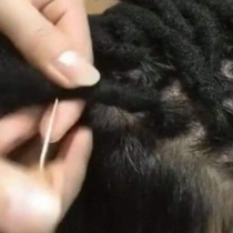 Dirty braid crochet pin dirty braid dirty braid dirty braid dirty braid double head three crochet pin dirty braid can hook hair extension