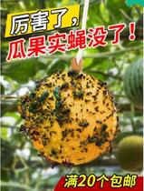 Ikoman ball type solid fly trap Fly trap ball Citrus big solid fly orchard Bitter melon passion fruit armyworm ball