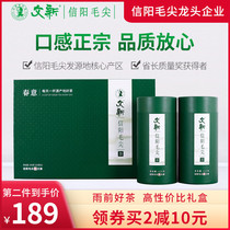 Spring tea listing Wen Xinyang Maojian green tea 2021 new tea before rain bud tea spring gift box 250g