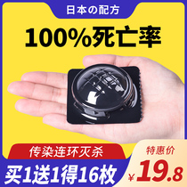 Cockroach medicine artifact lore insecticide full nest end household tasteless indoor super powerful cockroach house nemesis 16 pieces