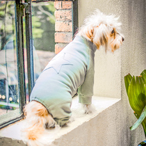 Dog clothes spring and autumn four-legged clothes thick clothes Teddy Chihuahua pet small dog puppies autumn and winter clothes