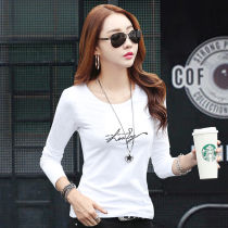 Spring dress new base shirt womens long sleeve T-shirt Slim cotton white shirt inside wear womens coat Korean version