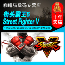 PC STEAM Genuine Chinese Street Fighter 5 Street Fighter 5 Street Fighter V Champion Edition 5th Year Pass