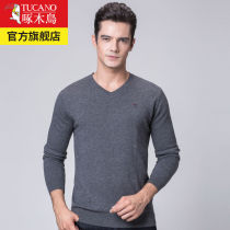  Woodpecker pure cardigan mens V-neck slim autumn and winter solid color sweater chicken heart neck pullover light sweater men