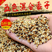 Parrot bird food feed mixed grain peony tiger skin Xuanfeng small sun green bird small parrot five-color Millet Bird Grain