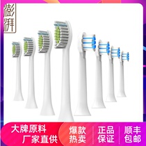 Surge Sonic Electric Toothbrush Original Fit Replacement Brushed Head UV Germicidal Adult Suitable for Philips 8