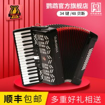 Parrot YW-856 accordion 34 keys 48 bass beginner instrument Adult grade playing beginner