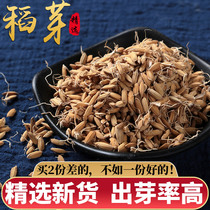 Rice buds fried rice buds Cooked rice buds Valley buds Raw malt raw rice buds double bud water Chinese herbal medicine raw materials 500 grams