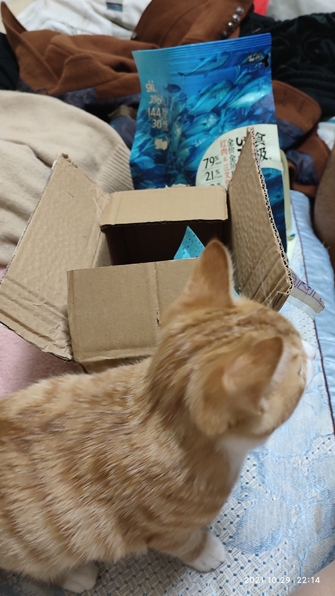 食极猫粮猫主粮怎么样?质量可以吗?剖析细节看真相!